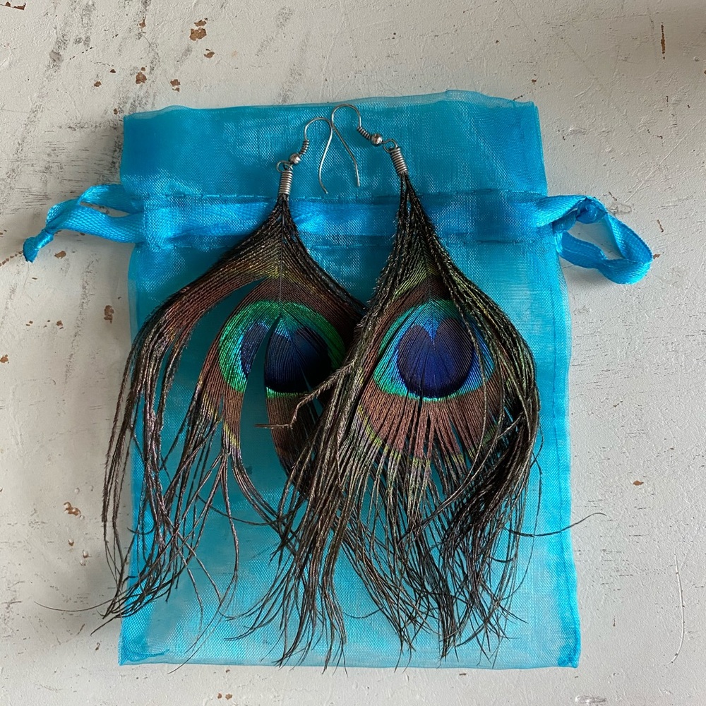 Real feather peacock earrings